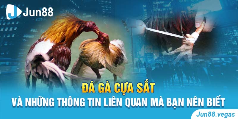 đá gà cựa sắt